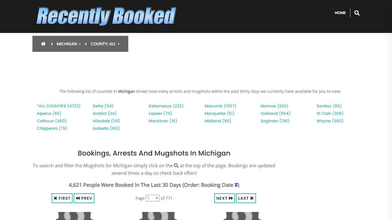 Bookings, Arrests and Mugshots in Van Buren County, Michigan